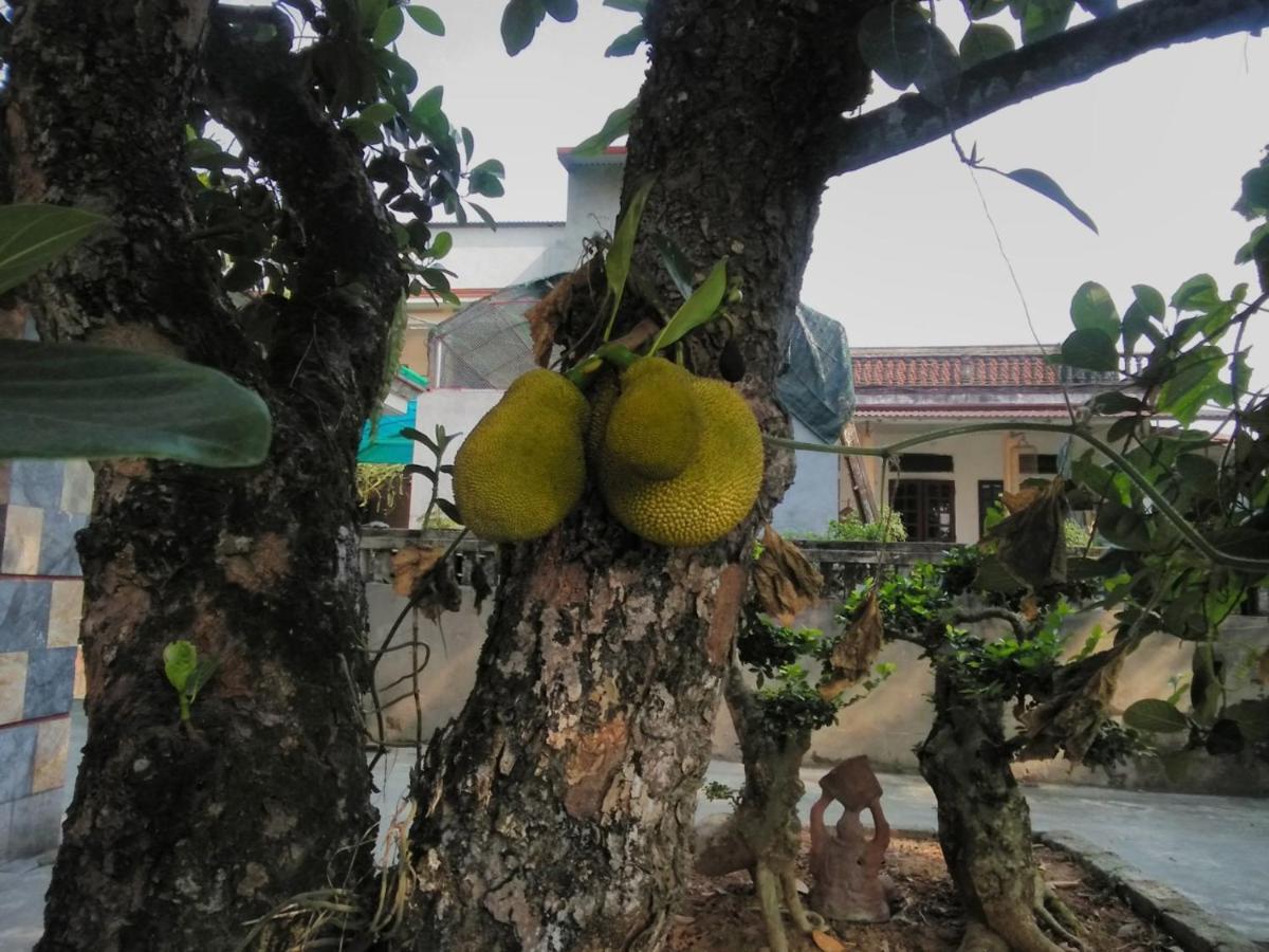 Little Trang An Homestay Ninh Bình Kültér fotó